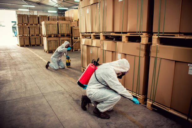 Best Local Pest Control Services  in Itasca, IL