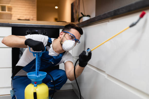 Best Best Pest Control Companies  in Itasca, IL
