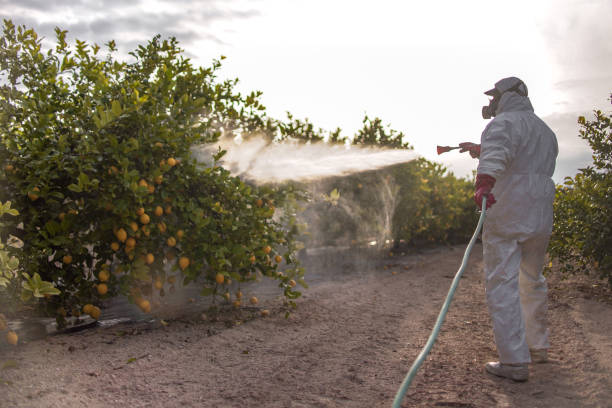 Best Best Pest Control Companies  in Itasca, IL