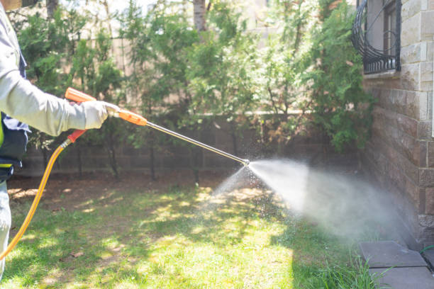 Trusted Itasca, IL Pest Control Experts