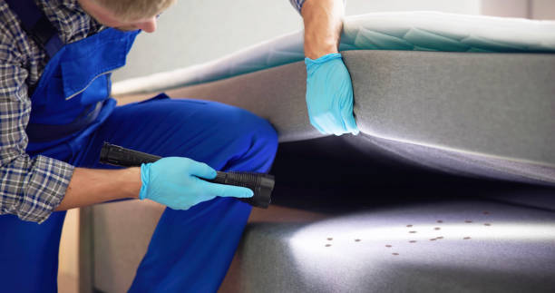Best Mosquito Control Services  in Itasca, IL
