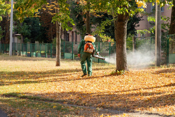 Best Pest Prevention Services  in Itasca, IL