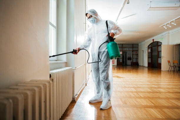 Best Wasp Removal Services  in Itasca, IL