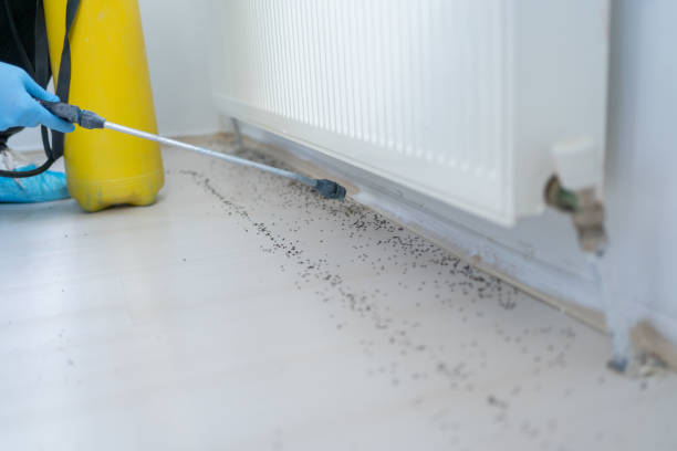 Best Pest Inspection Near Me  in Itasca, IL
