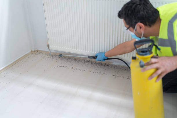 Best Bed Bug Extermination  in Itasca, IL