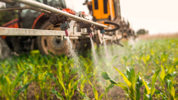 Best Pest Control for Businesses  in Itasca, IL